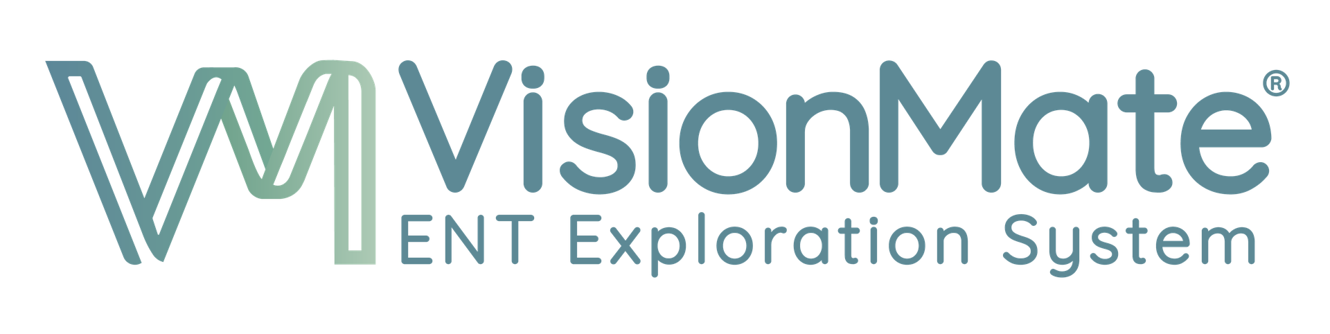 VISIONMATE